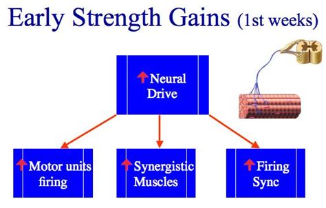 Busted Why Sprite undermines hypertrophy during recovery Watch Now!