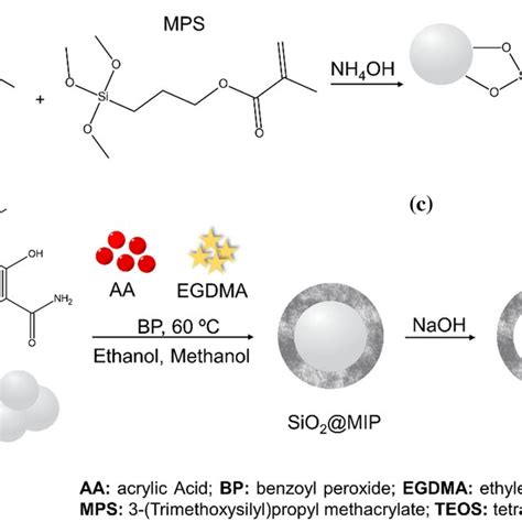 Preparation Procedure Of A Sio2 Np Modified With Vinyl Group B