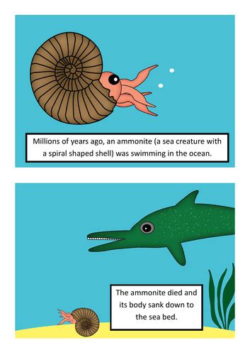 How A Fossil Is Formed Sequencing Activity Ks2 Teaching Resources