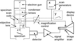 Schematic Diagram Of A Scanning Electron Microscope - Circuit Diagram