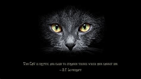 H. P. Lovecraft Quotes. QuotesGram