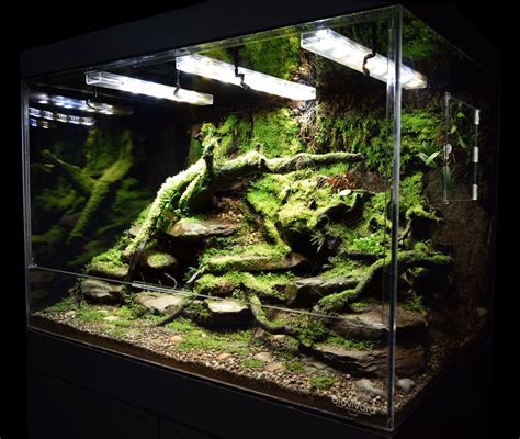 Custom Naturalistic Stream Bank Vivarium Design By Biovivara Naturalistic Enclosures Are More