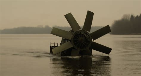 Algorithmic Bias Detection → Area → Sustainability