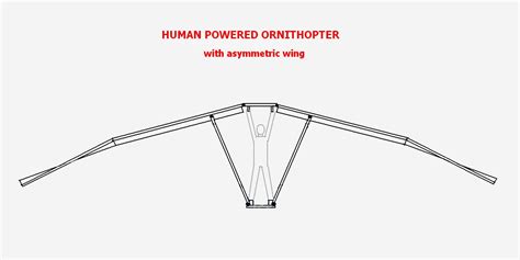 Flapping Wing: HUMAN POWERED ORNITHOPTER