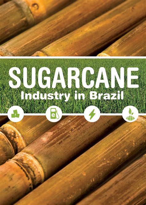 Sugarcane Industry In Brazil By UNICA PDF