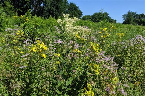 Annual Summer Meditation At Midewin National Tallgrass Prairie And