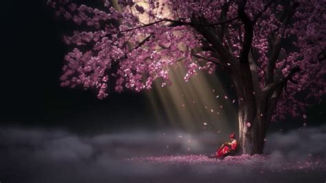 Anime Sakura Tree Live Wallpaper - Sakura Cherry Blossom Wallpaper ...