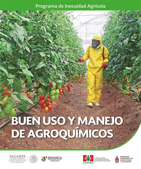 PDF BUEN USO Y MANEJO DE AGROQUÍMICOS BUEN USO Y MANEJO DE