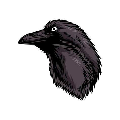 crow head cartoon images    freepik