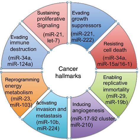 Non Coding RNAs The Cancer Genome Dark Matter That Matters