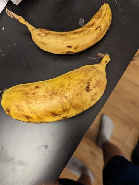 Banana For Banana For Scale Rbananasforscale