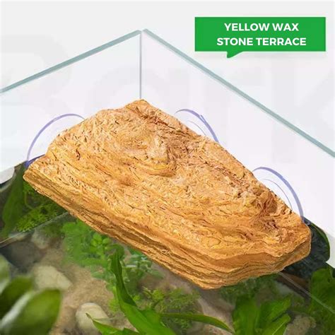 Yee Turtle Basking Platform Turtle Stone Island For Climbing And