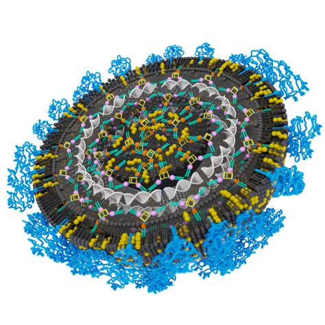 XMAN Lipid Nanoparticle IMAGE EurekAlert Science News Releases