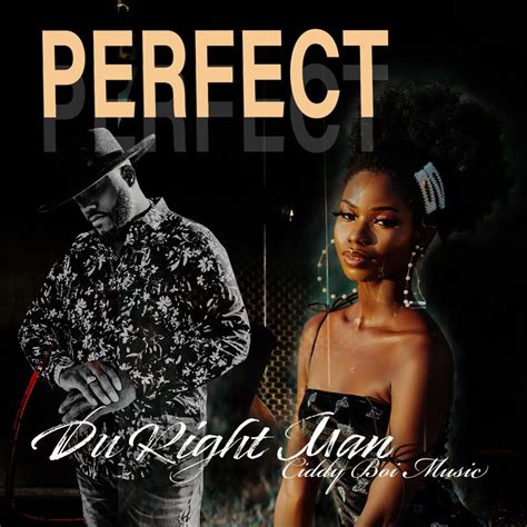 ‎Perfect - - Single - Album by Du Right Man - Apple Music