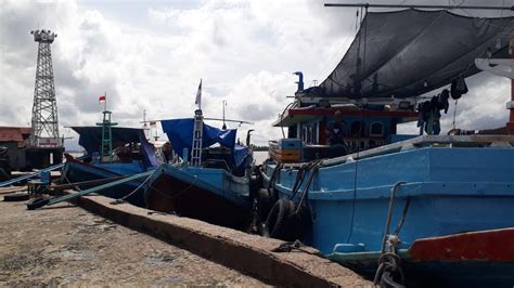 Hadapi Tahun Baru Pelabuhan Perikanan Banjarmasin Siapkan 100 Ton Ikan