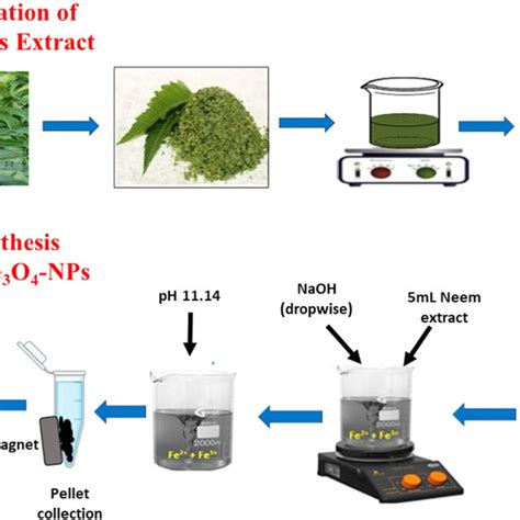 Schematic Diagram Of The Synthesis Of Neem Leaves Extracts Derived