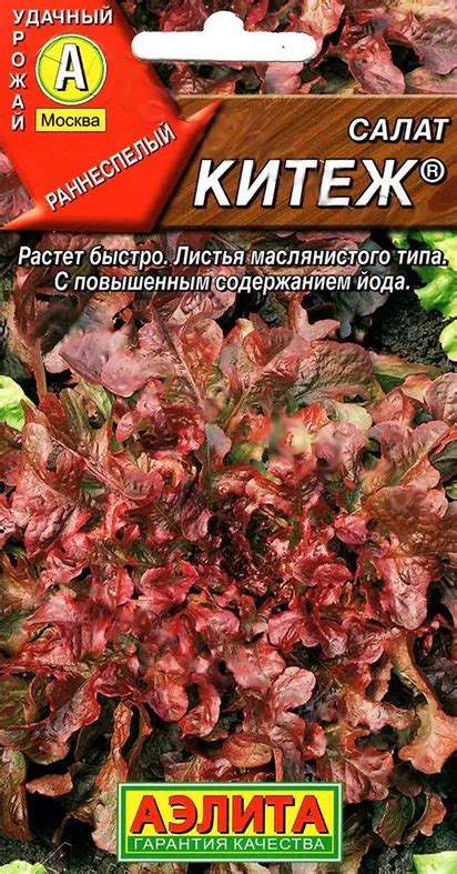 Салат Китеж: описание и характеристики сорта, особенности посадки и ...