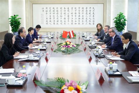 Vice Foreign Minister Deng Li Holds The Eighth Round Of China Austria