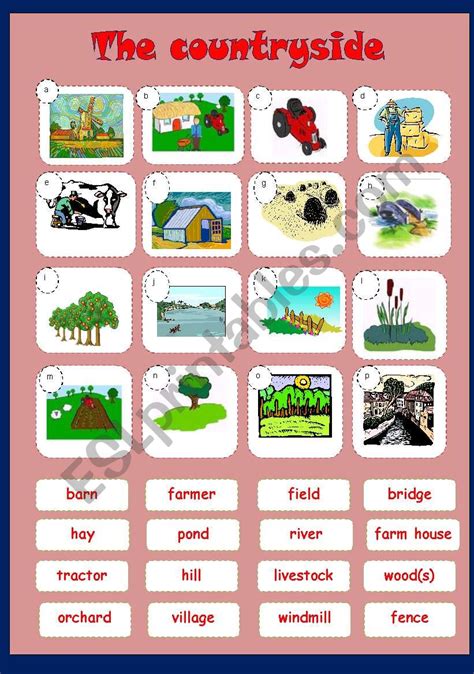 Countryside - matching - ESL worksheet by jannabanna