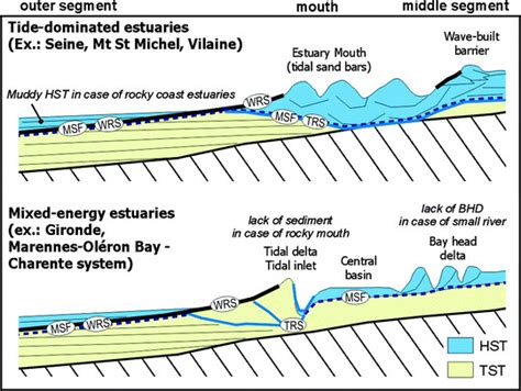 6 Schematic Longitudinal Cross Sections Showing The Variability Of The