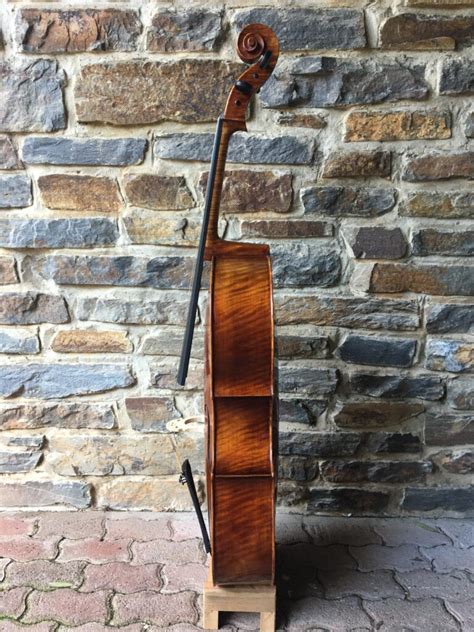 Raggetti Gofriller Master Cello Bass Works Australia