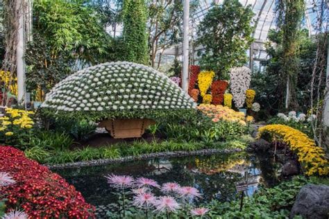 New York Botanical Garden Celebrates 125 Years - Quintessence