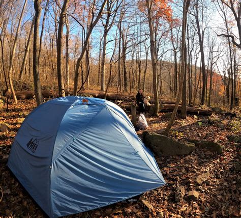 Ultimate Guide To Visiting Shenandoah National Park