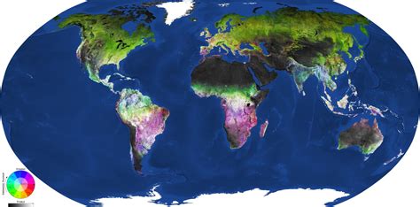 ESA - Land-cover dynamics unveiled