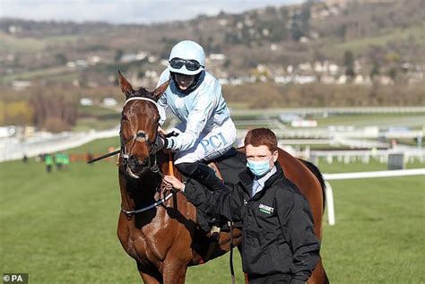 Cheltenham Festival: Racing fans heap praise on Rachel Blackmore after historic Champions Hurdle ...