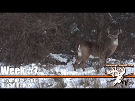 Deer Hunting In New York Buck Down Youtube