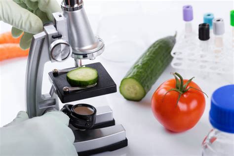 Food Chemistry Stock Photos Pictures And Royalty Free Images Istock