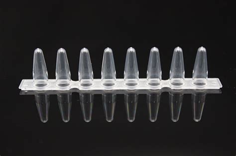 8 Tube qPCR Strip with Adapted Optical Flat Caps 0 1 mL 0 1mL qPCR八联排管