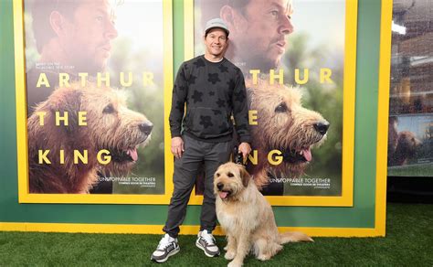 Is ‘Arthur The King’ Streaming? Here Are Ways To Watch Mark Wahlberg’s ...