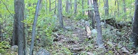 Sandhill Wildlife Area | Wisconsin DNR