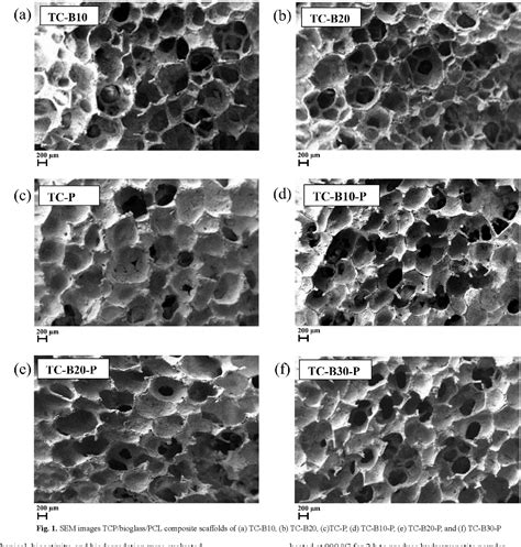 Figure From Production And Characterization Of Pcl Polycaprolactone