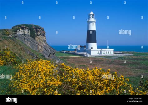 lighthouse, Alderney Island Stock Photo - Alamy