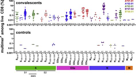 Prevalent And Immunodominant Cd8 T Cell Epitopes Are Conserved In Sars