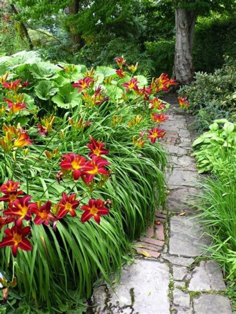 Beautiful And Undemanding Garden Design Ideas With Daylilies My