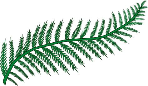 Branch Fern Forest - Free vector graphic on Pixabay