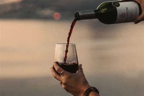 Red Wine Understanding How It Benefits Your Heart And Mind