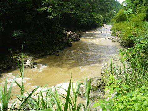 Déjà Vu As Bauxite Company Pollutes An Iconic Jamaican River Yet Again