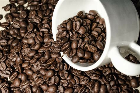 Best Tasting Decaf Coffee: 7 of Leading Brands in 2020