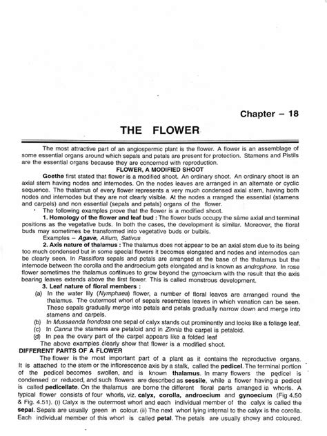 Morphology Of Flowering Plants Flower Pdf Flowers Petal
