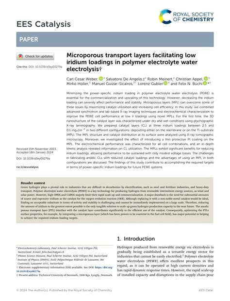 Pdf Microporous Transport Layers Facilitating Low Iridium Loadings In