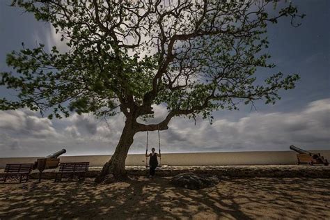 105 fotos de Fernando de Noronha que conquistarão o seu coração