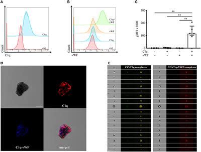 Frontiers Binding Of Von Willebrand Factor To Complement C Q