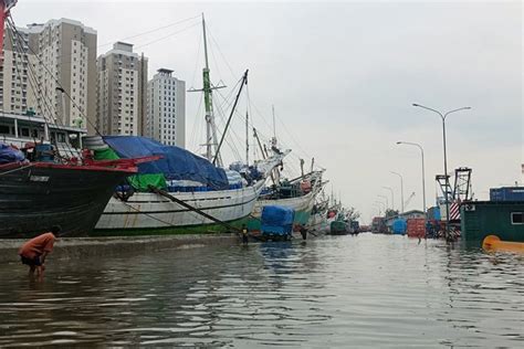 Pelabuhan Sunda Kelapa Tergenang Banjir Rob Aktivitas Bongkar Muat