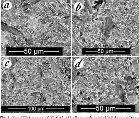 Figure 1 From Modelling Of Active Transformation Of Microstructure Of