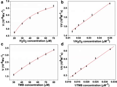 The Steady State Kinetic Analysis Of Cd Pd Au Using Michaelis Menten