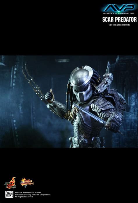 Scar Predator Aus Dem Film Alien Vs Predator Von Hot Toys MMS